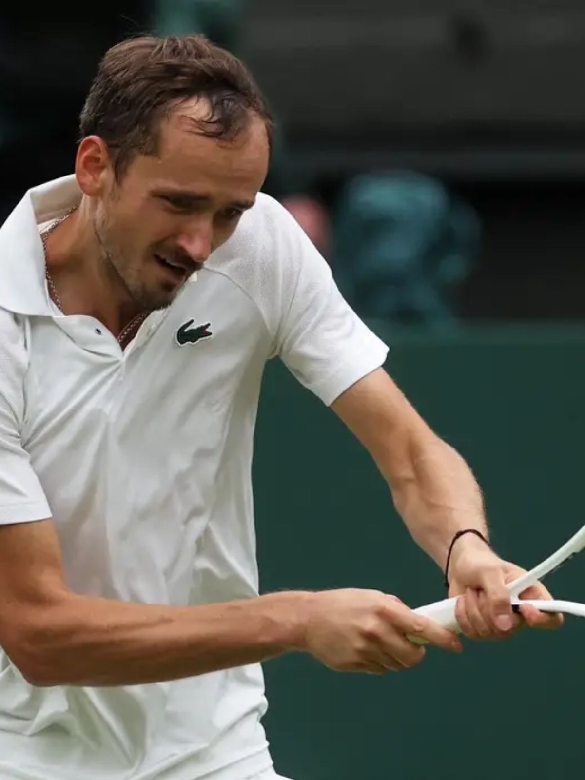 年终总决赛逆转戴维斯杯，梅德韦杰夫状态火热