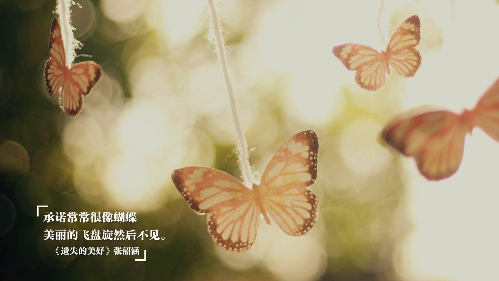 节奏之争,深圳奇才的战术艺术与欧文的救赎之路