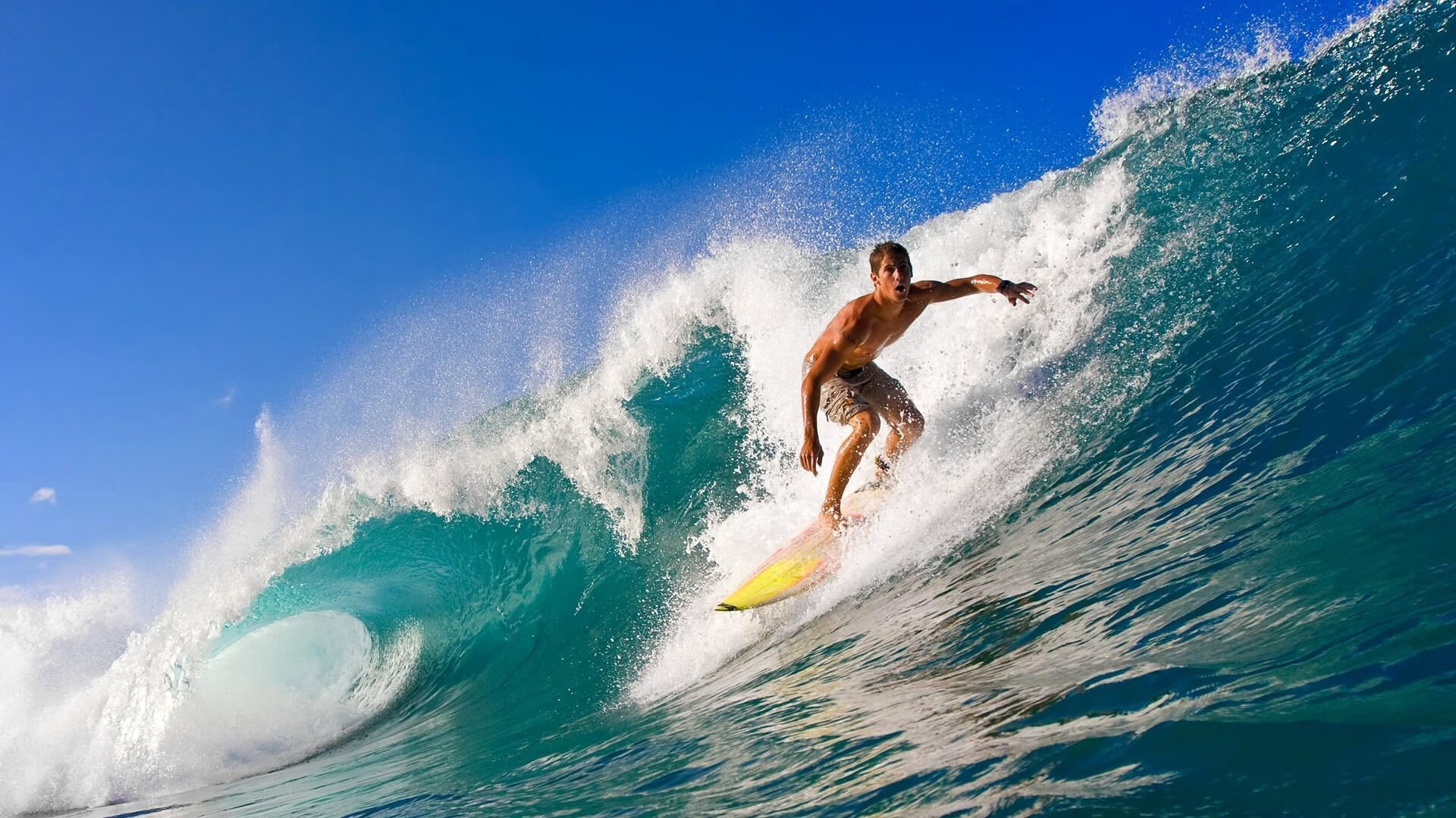 猛龙狂胜新疆队，福克斯成为关键先生